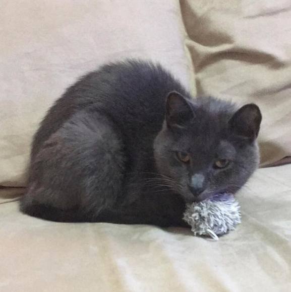 Meet your Posher, Jennifer - Picture 1 of 1